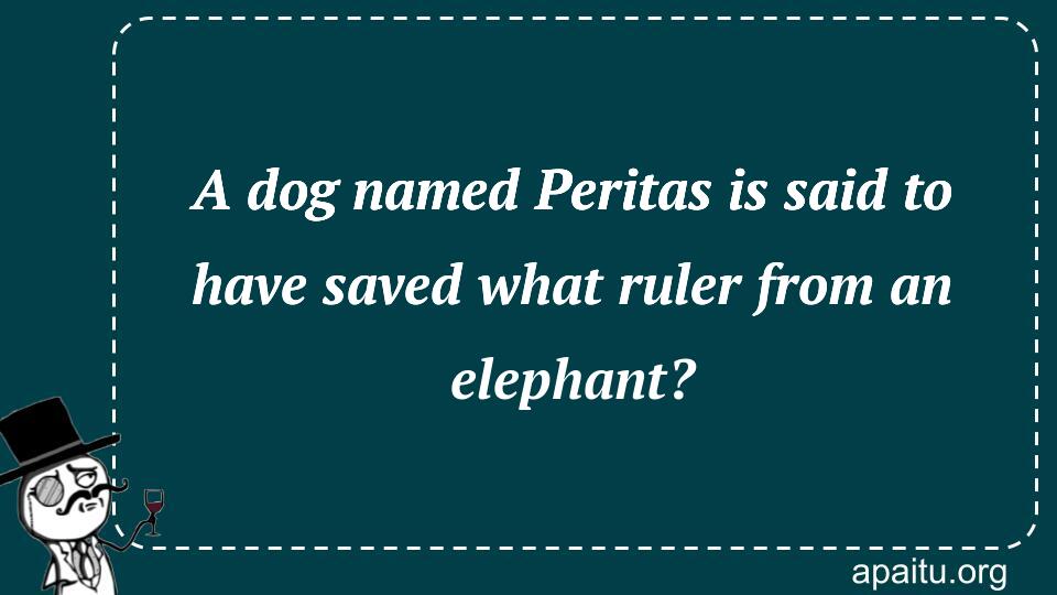 A dog named Peritas is said to have saved what ruler from an elephant?