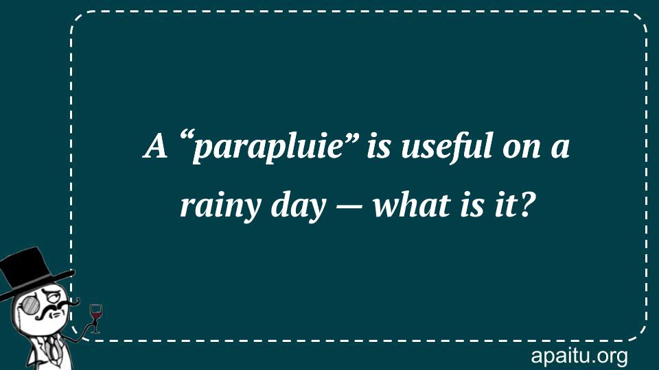 A “parapluie” is useful on a rainy day — what is it?