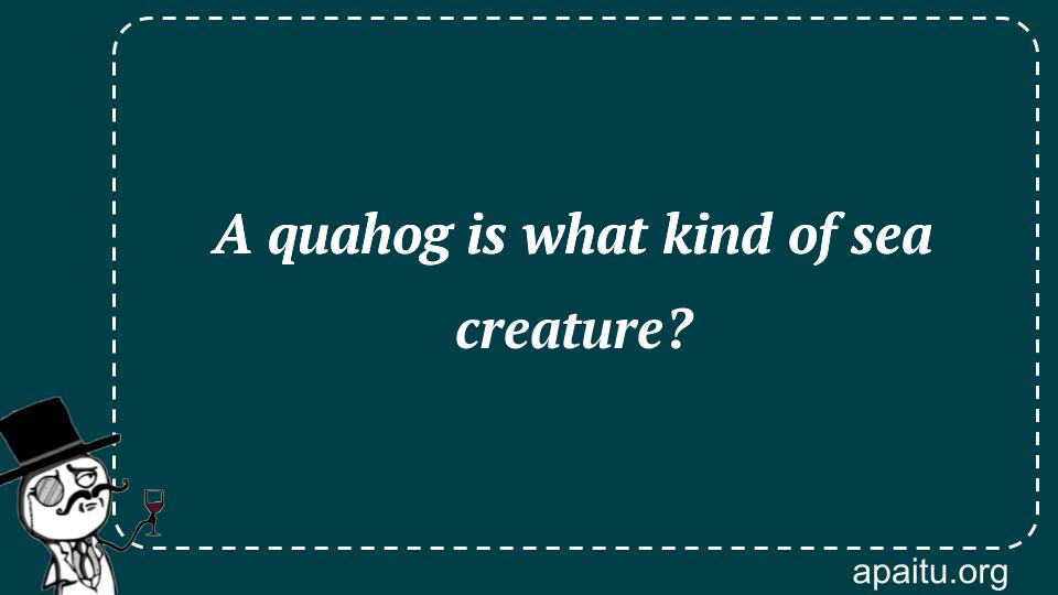 A quahog is what kind of sea creature?