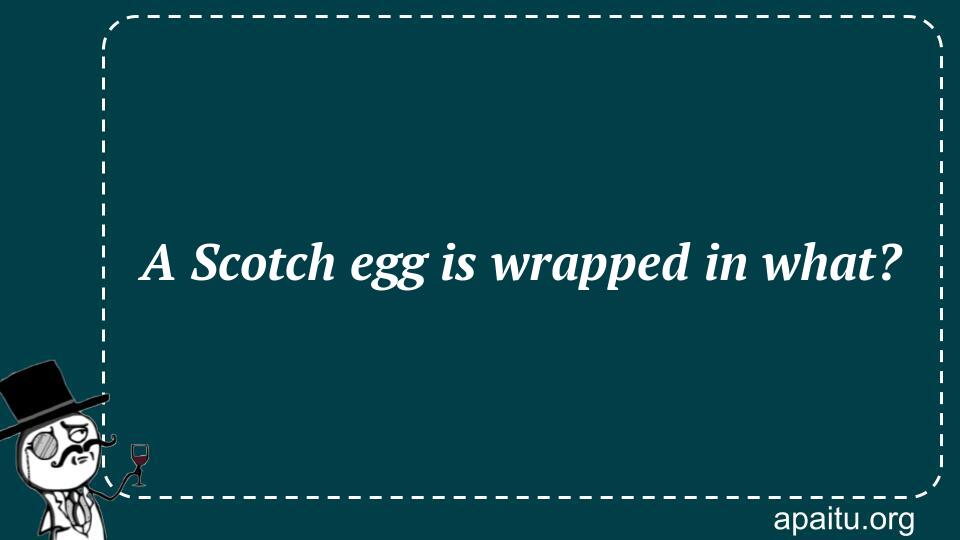 A Scotch egg is wrapped in what?