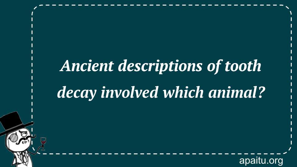 Ancient descriptions of tooth decay involved which animal?