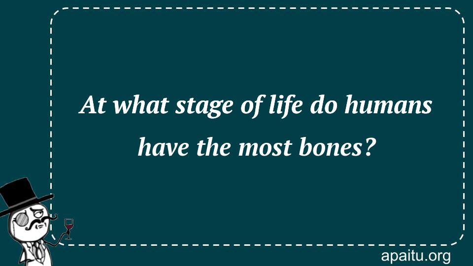 At what stage of life do humans have the most bones?
