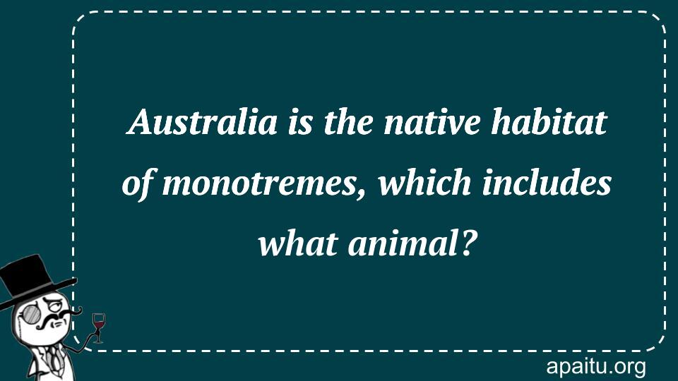 Australia is the native habitat of monotremes, which includes what animal?