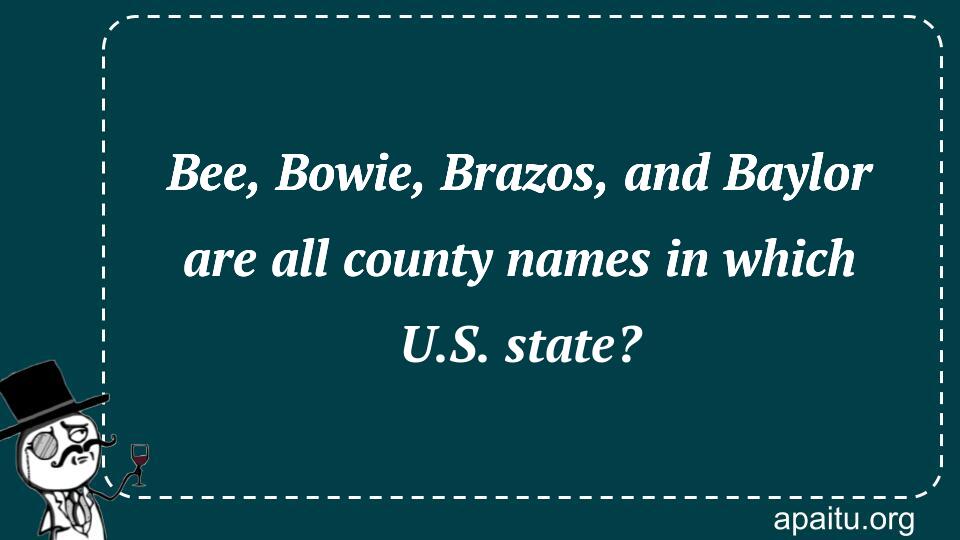 Bee, Bowie, Brazos, and Baylor are all county names in which U.S. state?