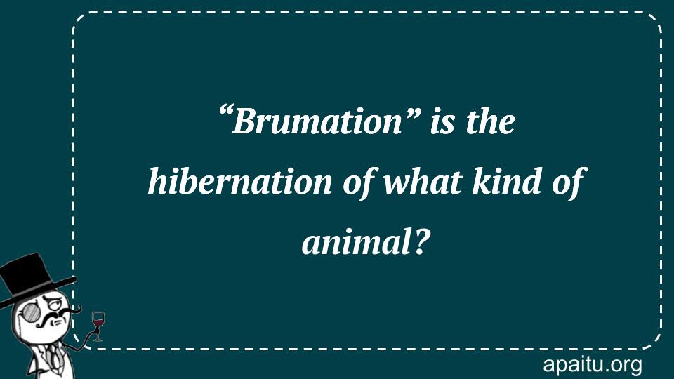 “Brumation” is the hibernation of what kind of animal?