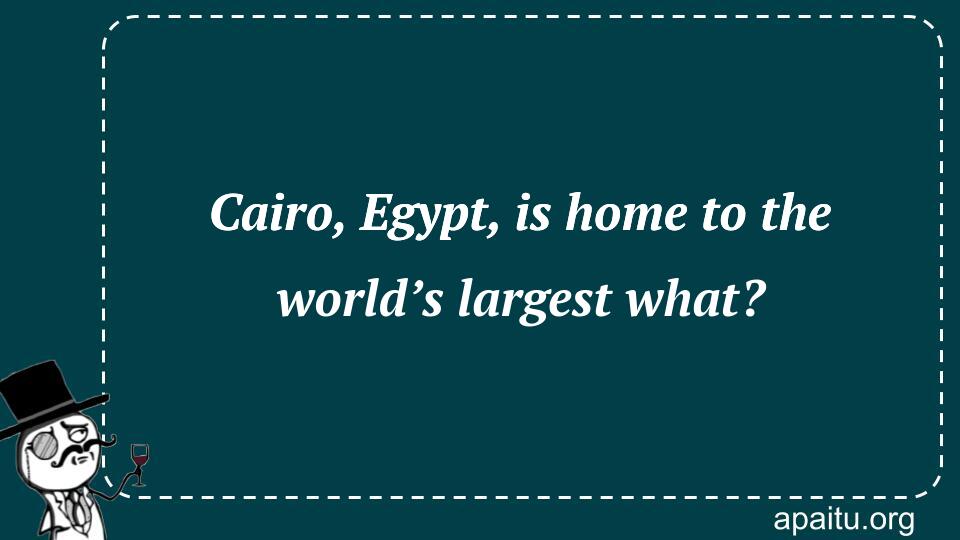 Cairo, Egypt, is home to the world’s largest what?