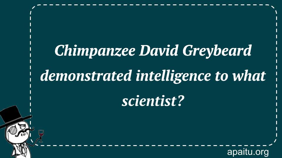 Chimpanzee David Greybeard demonstrated intelligence to what scientist?