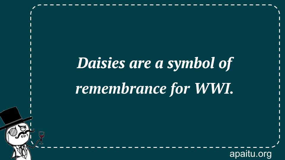 Daisies are a symbol of remembrance for WWI.