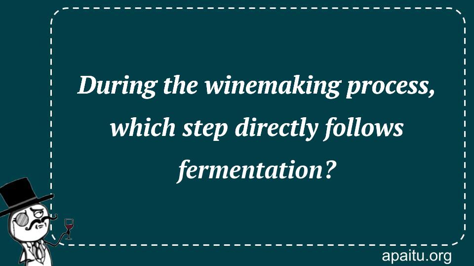 During the winemaking process, which step directly follows fermentation?