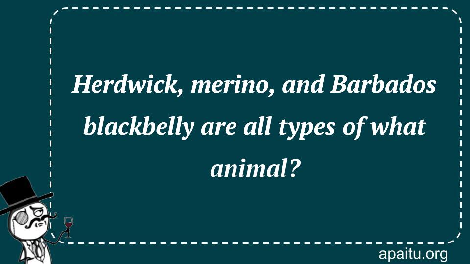 Herdwick, merino, and Barbados blackbelly are all types of what animal?