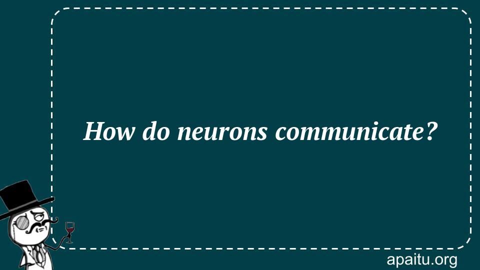 How do neurons communicate?