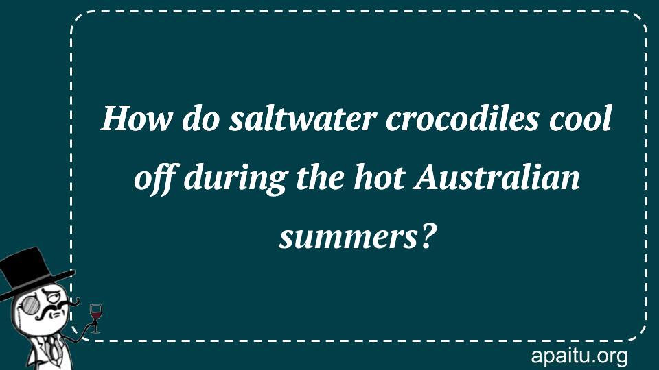 How do saltwater crocodiles cool off during the hot Australian summers?