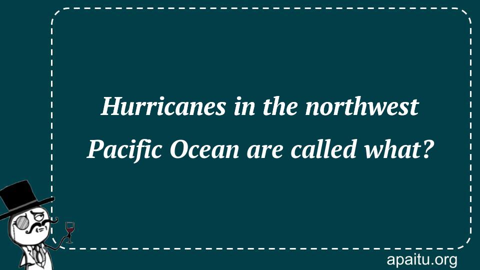 Hurricanes in the northwest Pacific Ocean are called what?