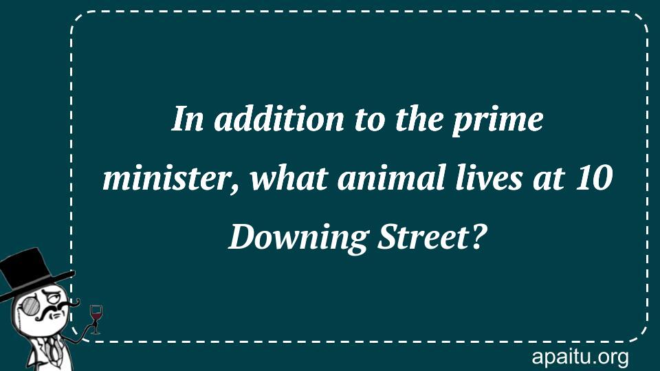 In addition to the prime minister, what animal lives at 10 Downing Street?