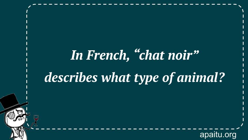 In French, “chat noir” describes what type of animal?