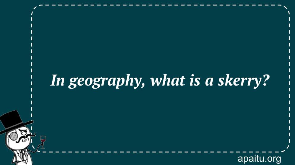 In geography, what is a skerry?