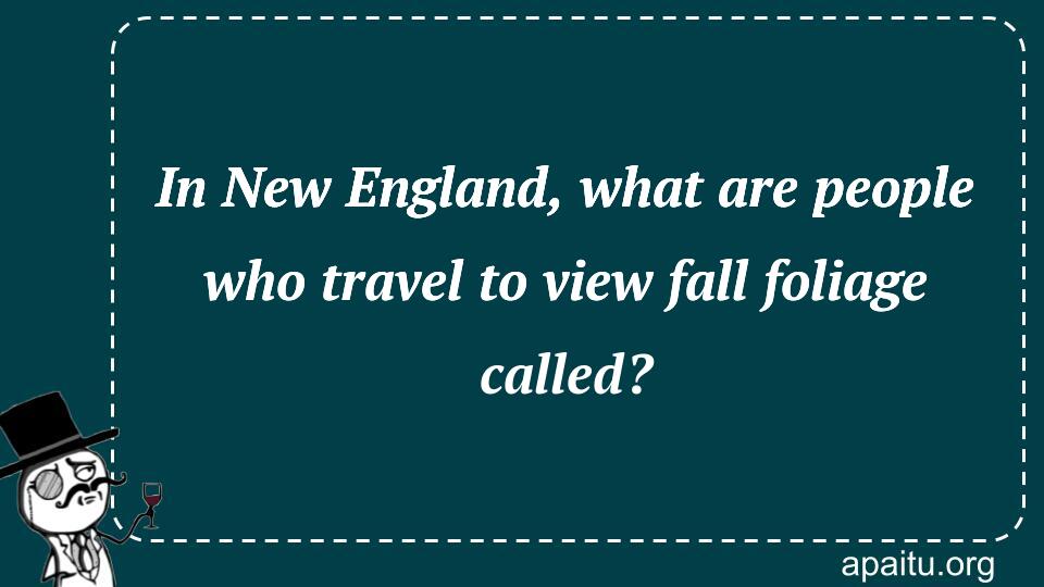 In New England, what are people who travel to view fall foliage called?