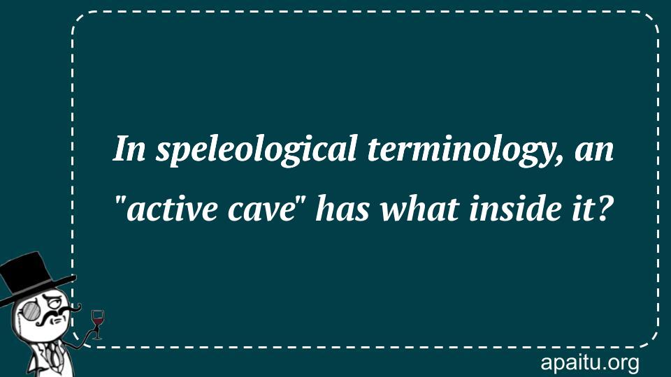 In speleological terminology, an `active cave` has what inside it?