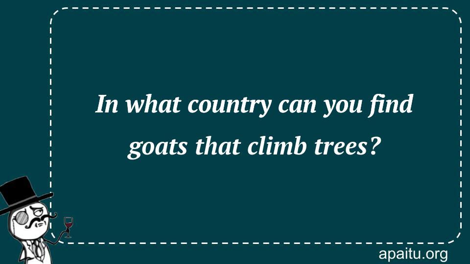 In what country can you find goats that climb trees?