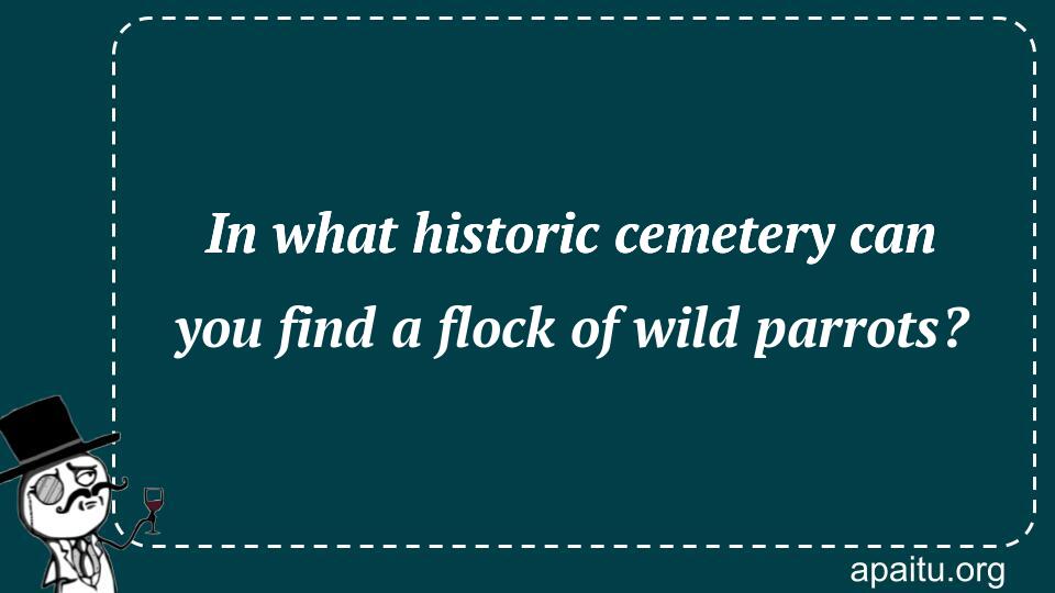 In what historic cemetery can you find a flock of wild parrots?