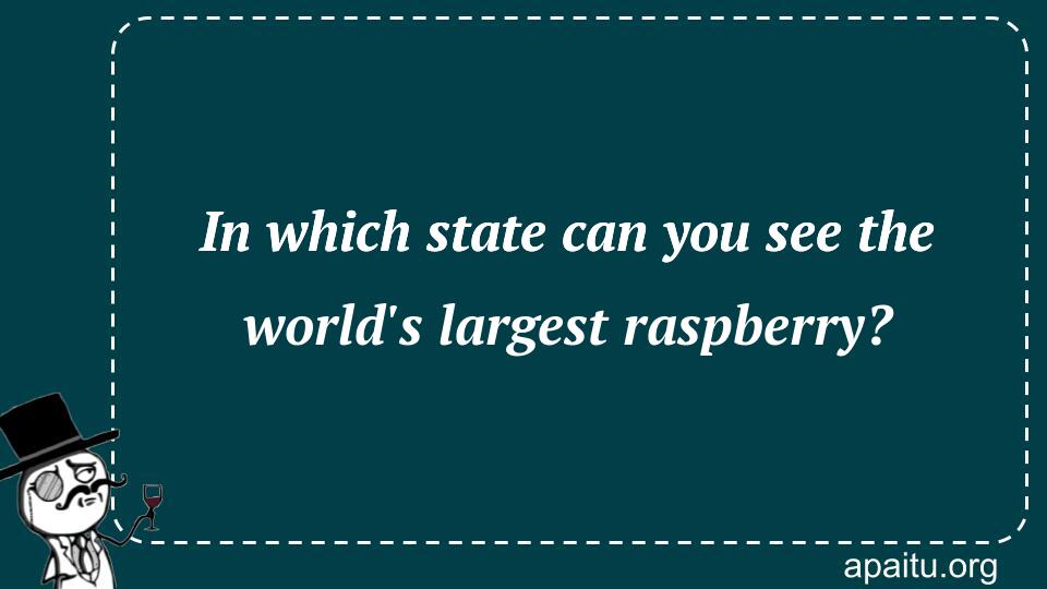 In which state can you see the world`s largest raspberry?