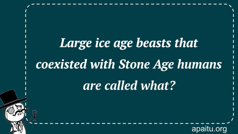 Large ice age beasts that coexisted with Stone Age humans are called what?