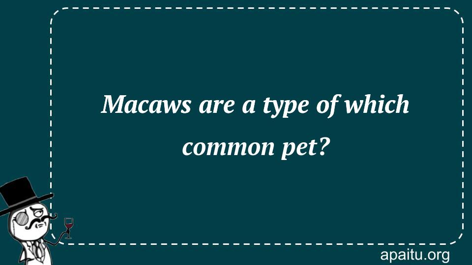 Macaws are a type of which common pet?