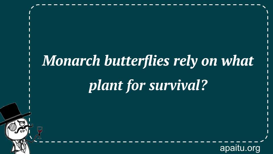 Monarch butterflies rely on what plant for survival?