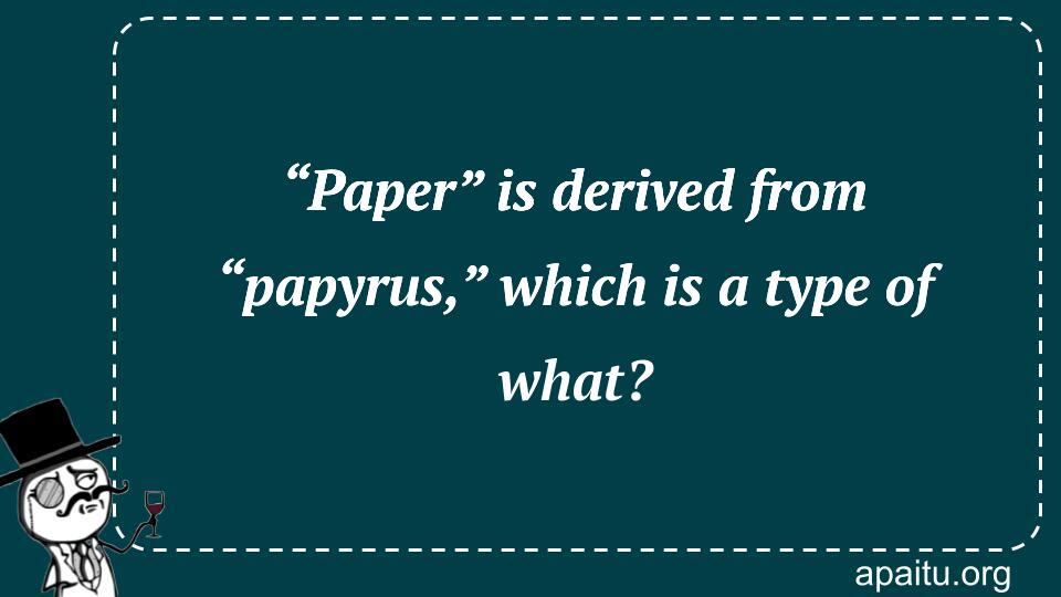 “Paper” is derived from “papyrus,” which is a type of what?