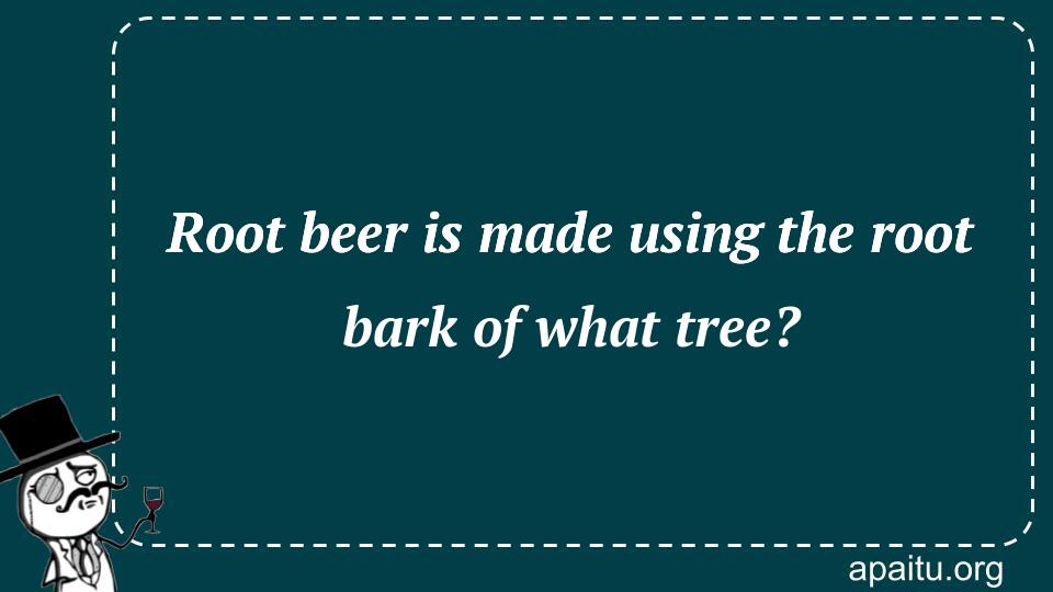 Root beer is made using the root bark of what tree?