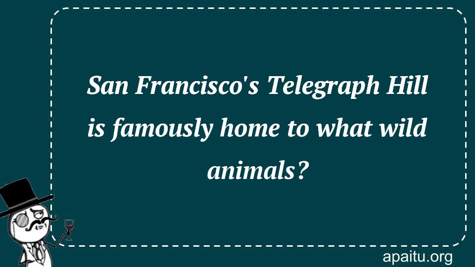 San Francisco`s Telegraph Hill is famously home to what wild animals?