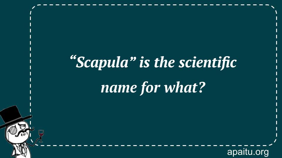 “Scapula” is the scientific name for what?