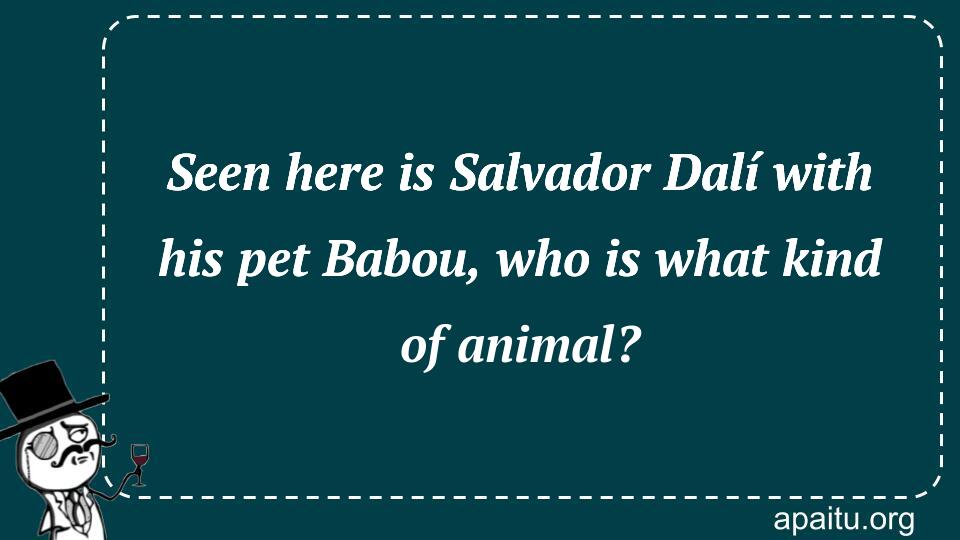 Seen here is Salvador Dalí with his pet Babou, who is what kind of animal?