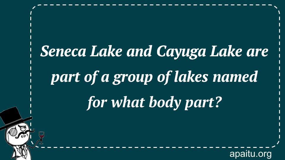 Seneca Lake and Cayuga Lake are part of a group of lakes named for what body part?