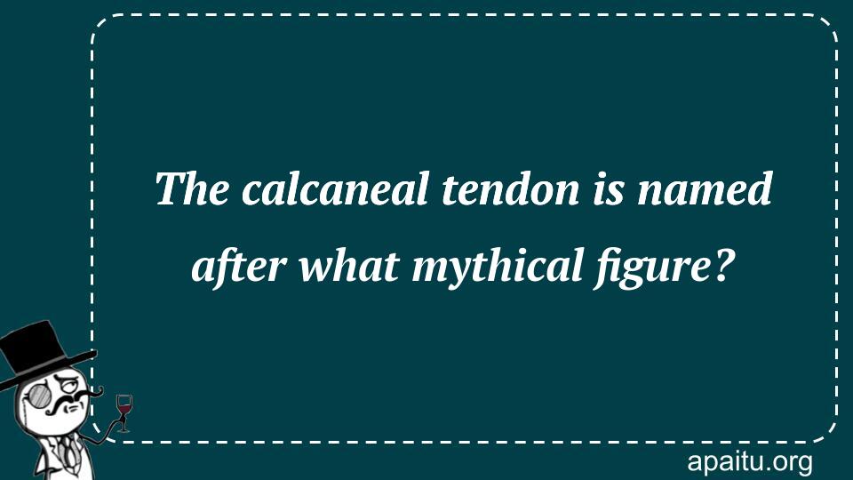 The calcaneal tendon is named after what mythical figure?