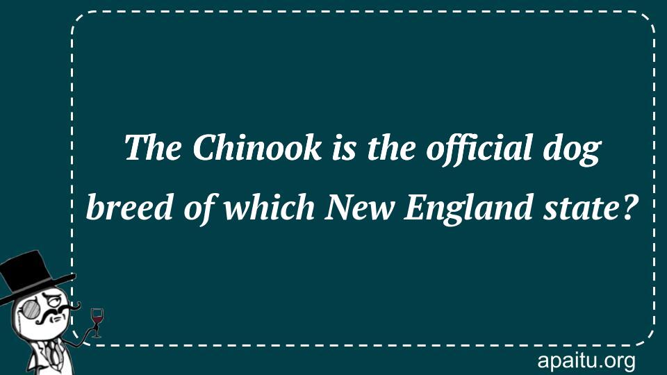 The Chinook is the official dog breed of which New England state?