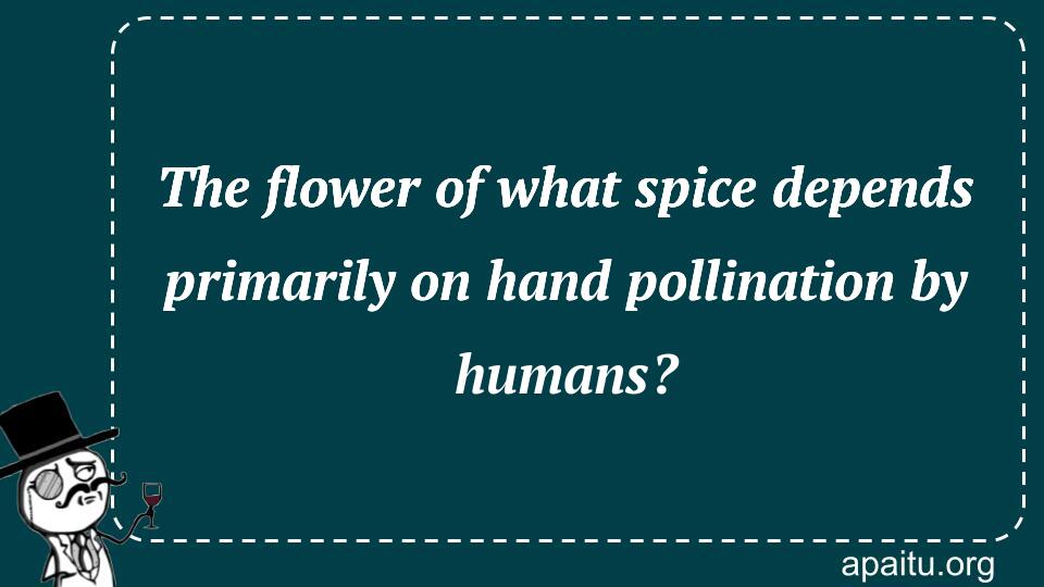 The flower of what spice depends primarily on hand pollination by humans?