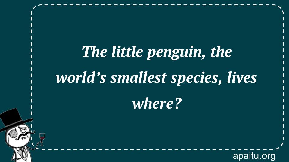 The little penguin, the world’s smallest species, lives where?