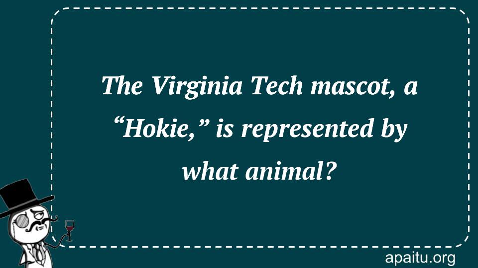 The Virginia Tech mascot, a “Hokie,” is represented by what animal?