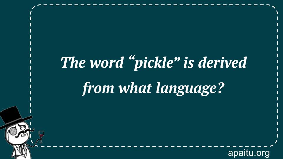 The word “pickle” is derived from what language?