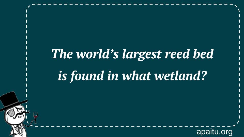 The world’s largest reed bed is found in what wetland?