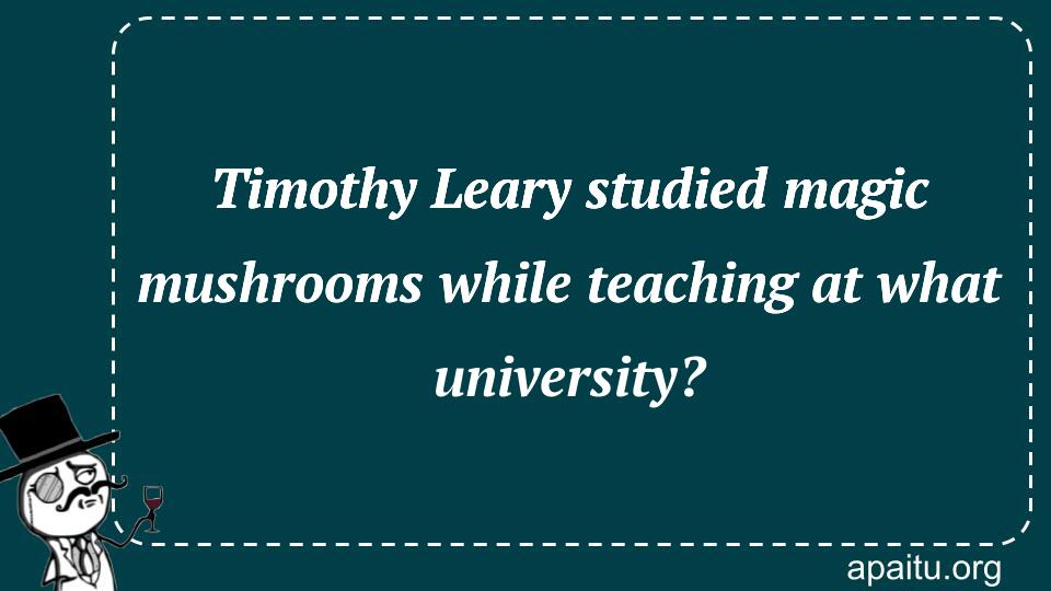 Timothy Leary studied magic mushrooms while teaching at what university?