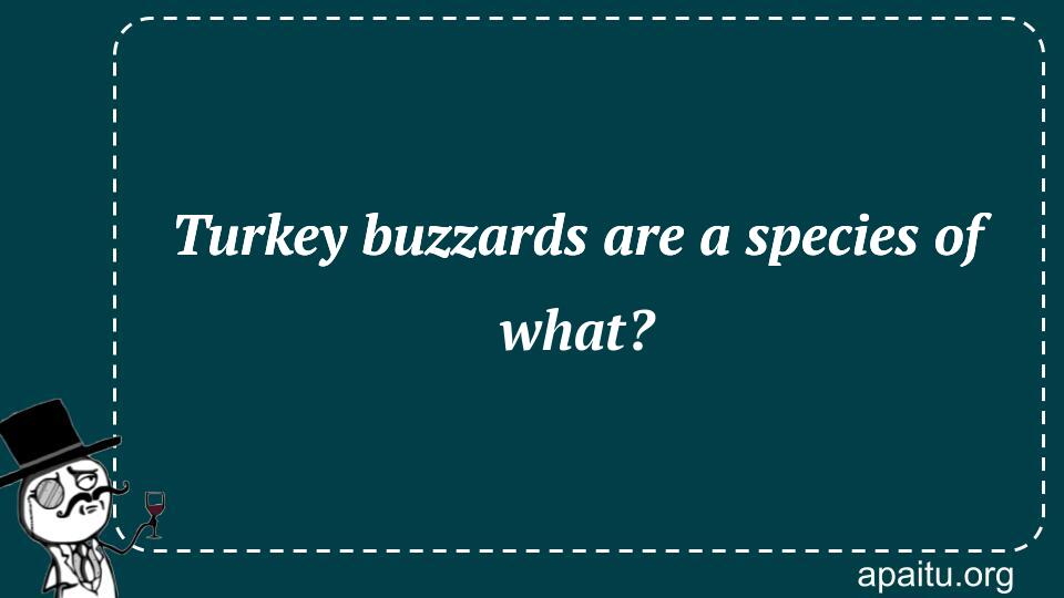 Turkey buzzards are a species of what?