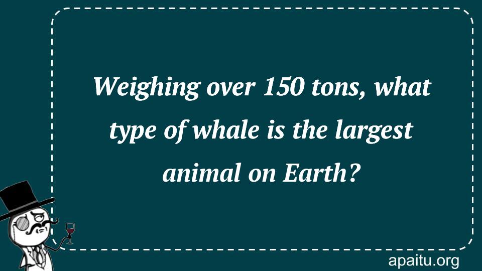 Weighing over 150 tons, what type of whale is the largest animal on Earth?