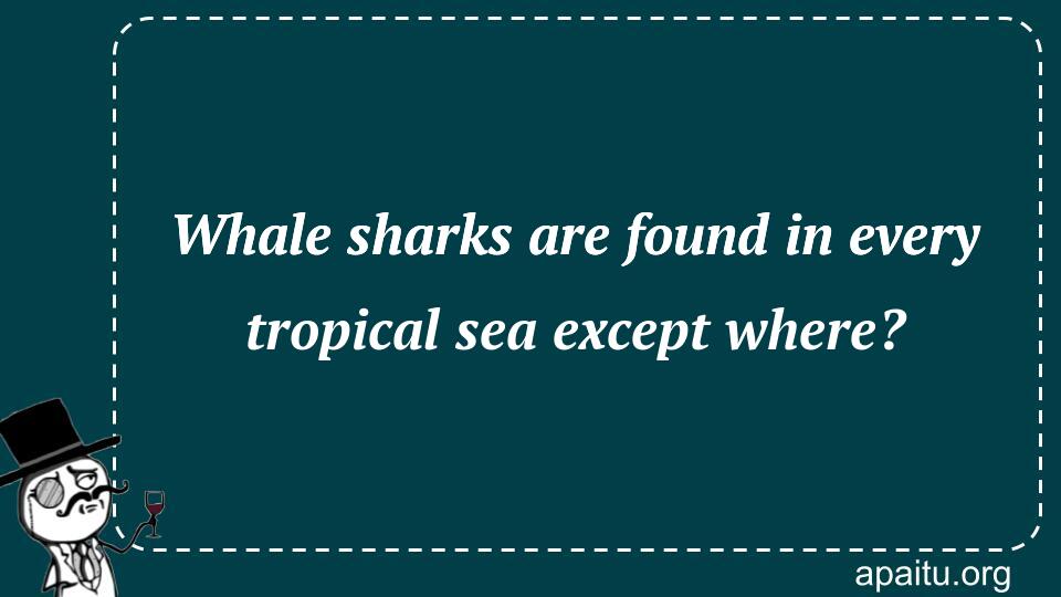 Whale sharks are found in every tropical sea except where?