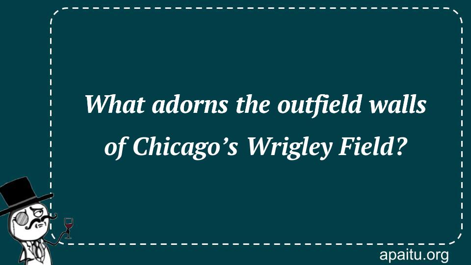 What adorns the outfield walls of Chicago’s Wrigley Field?