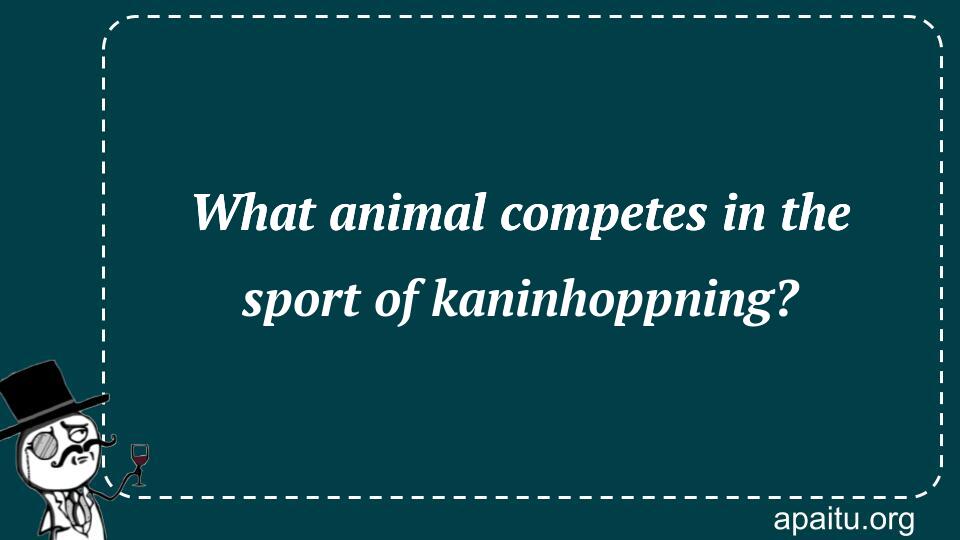 What animal competes in the sport of kaninhoppning?