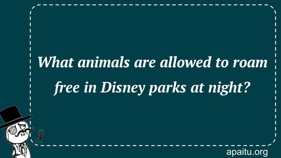 What animals are allowed to roam free in Disney parks at night?