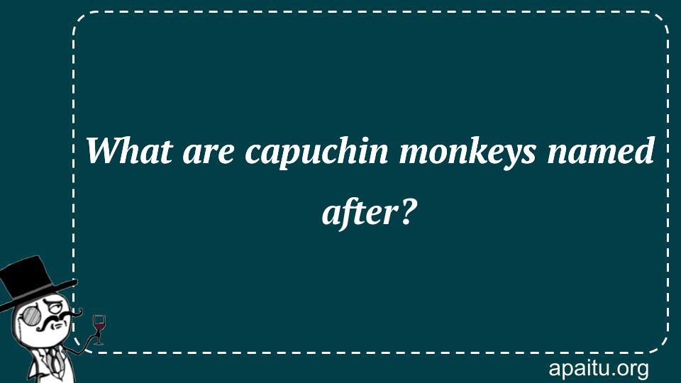 What are capuchin monkeys named after?