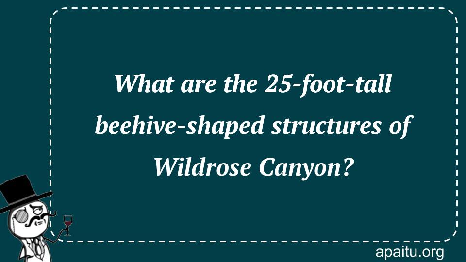 What are the 25-foot-tall beehive-shaped structures of Wildrose Canyon?